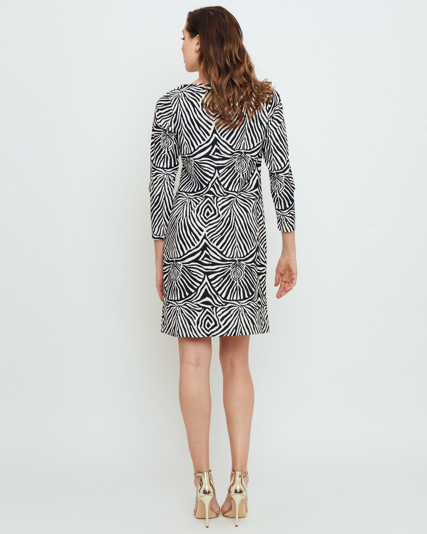 Adonara 3/4 Sleeve Boatneck Dress in Black Safari Stripes